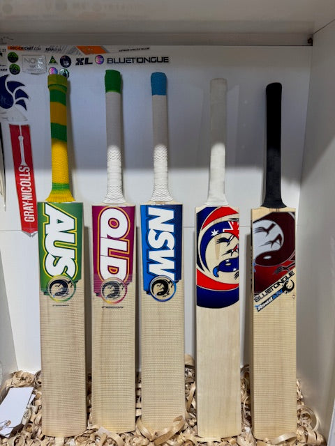 BTS Indoor Cricket Bat