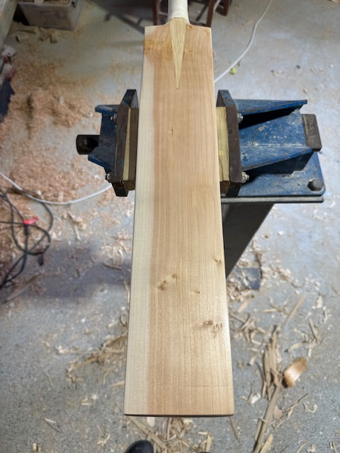 Butterfly Players 2lb9 Oversized