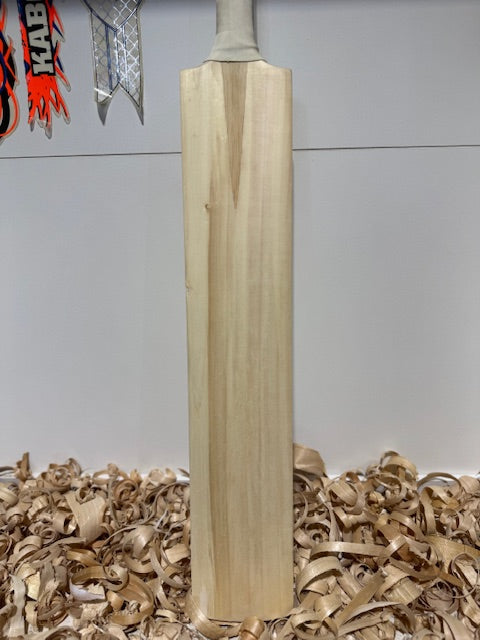 BTS Indoor Cricket Bat